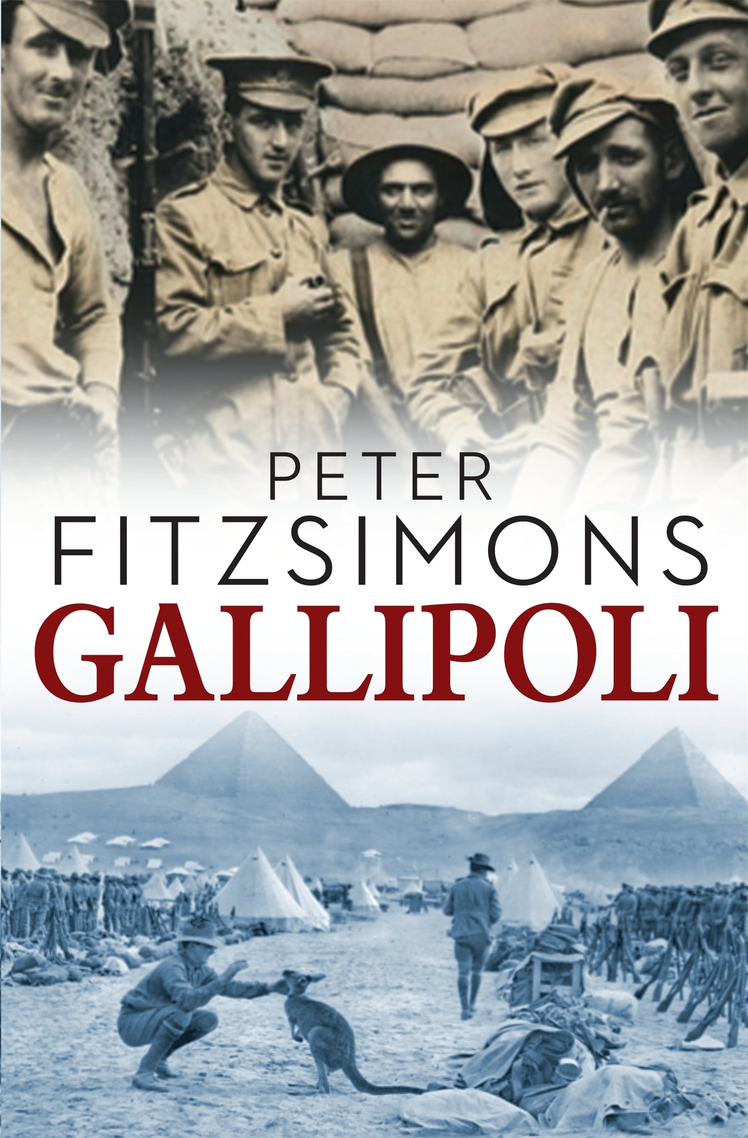 Gallipoli by Peter FitzSimons