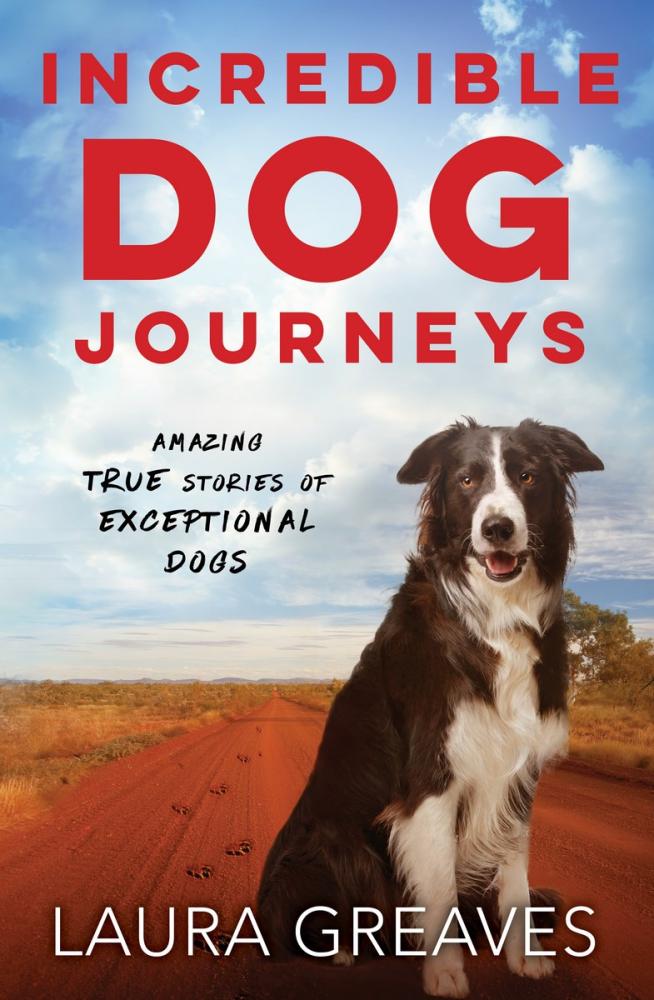 Incredible Dog Journeys