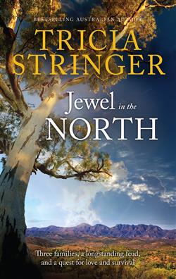 Jewel In The North by Tricia Stringer