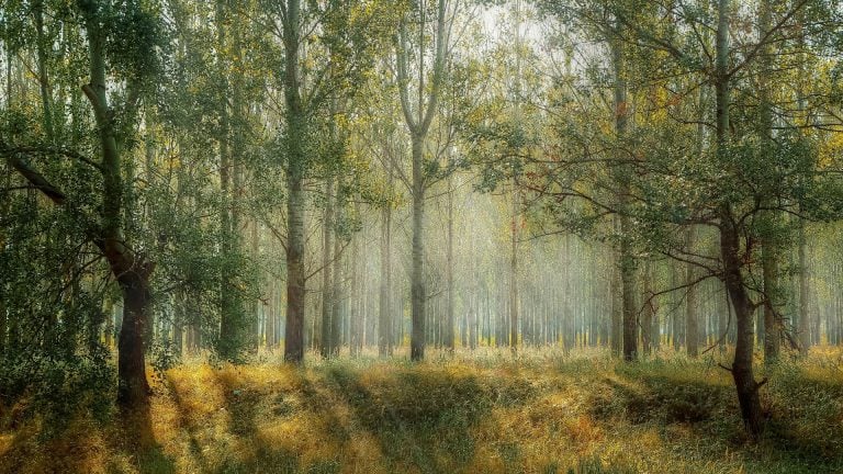 8 Books to Help Kids Learn About Sustainability