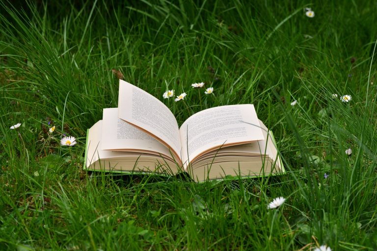 Refugee Week: 6 Books to Read with your Kids