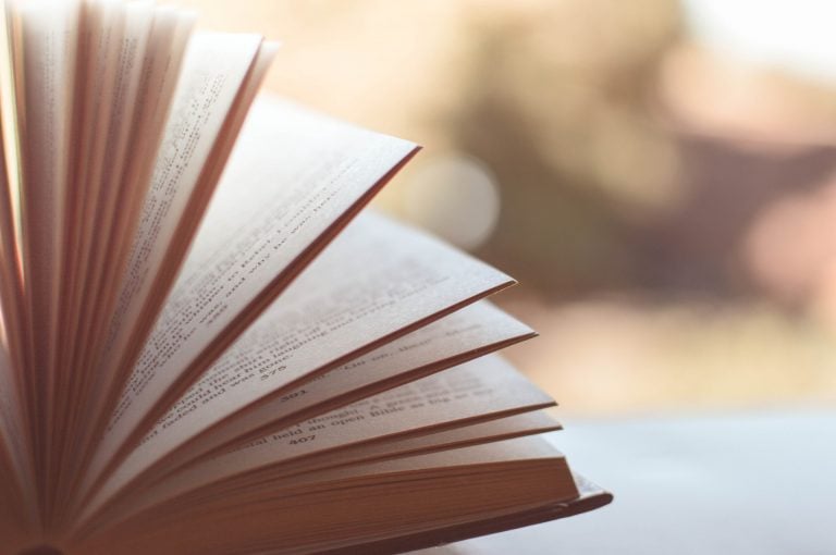 7 Exciting New July Releases for Kids