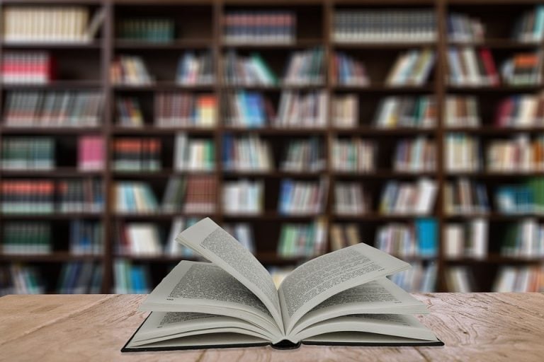 Lending Love: Insight into borrowing trends at Australian libraries