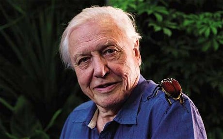 Sir David Attenborough