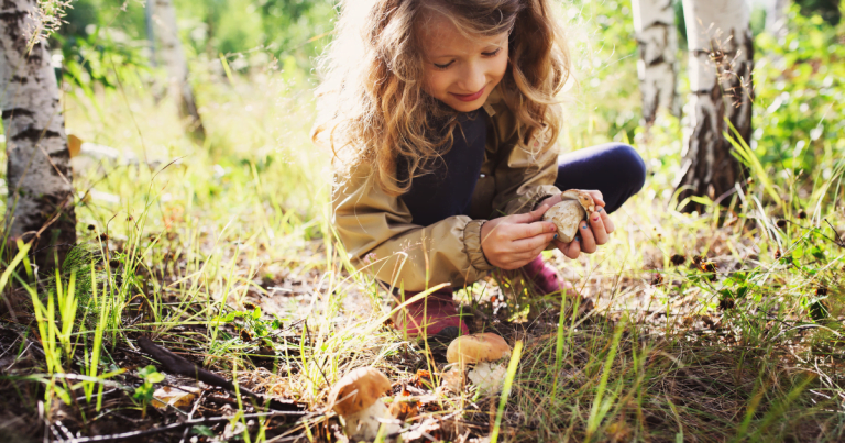 Celebrate The Great Outdoors: Five Books for Nature Lovers
