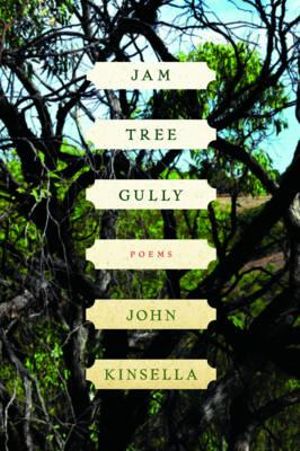 Jam Tree Gully