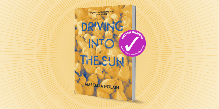 Captivating and Breathtaking: Read an extract from Driving into the Sun by Marcella Polain