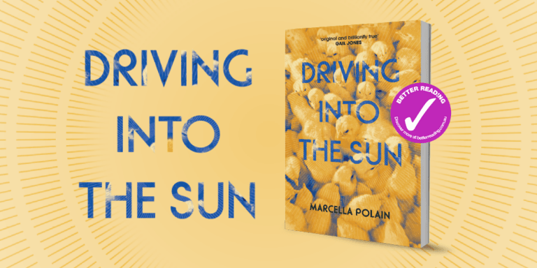 Beautiful Coming of Age Story: Review of Driving into the Sun by Marcella Polain