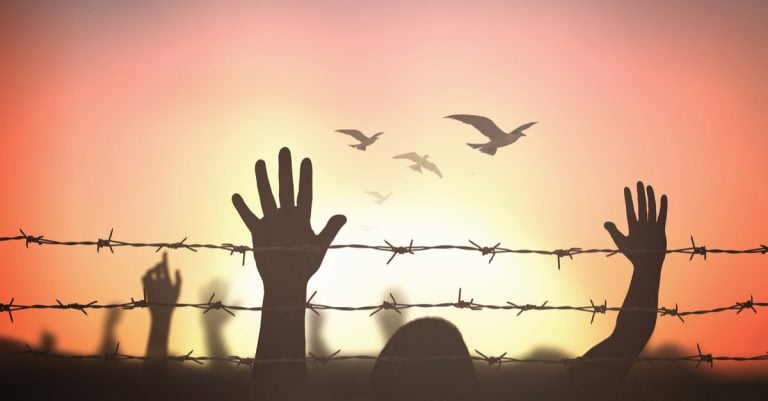 Refugee Week: A Time For Stories, On and Off the Page