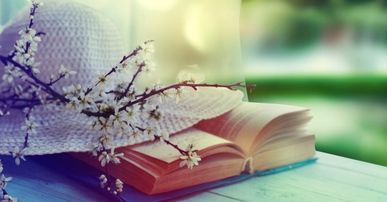 Books We've Loved this Spring: The Better Reading Team Chooses their Seasonal Highlights