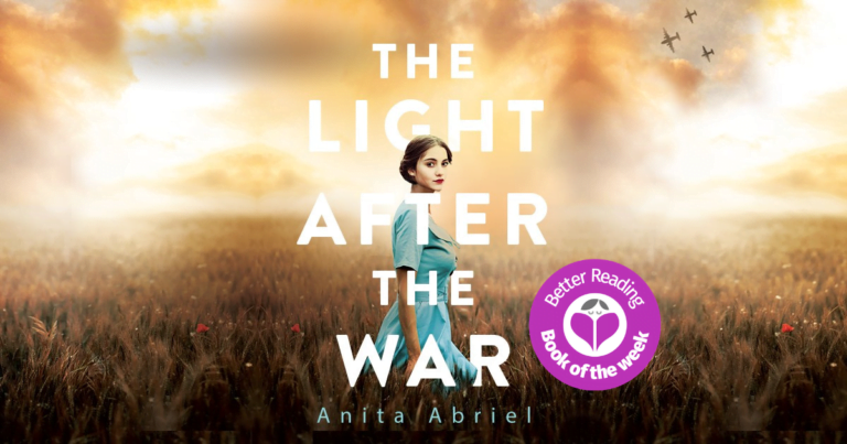 The Light After the War by Anita Abriel is Completely Wonderful