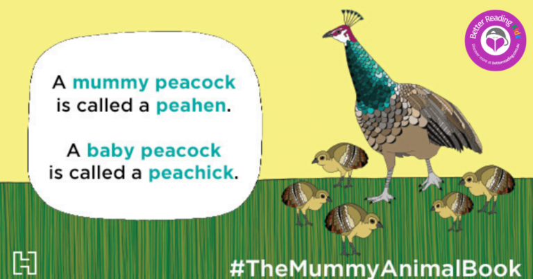 Cute animals, fun facts! Extract from The Mummy Animal Book by Jennifer Cossins
