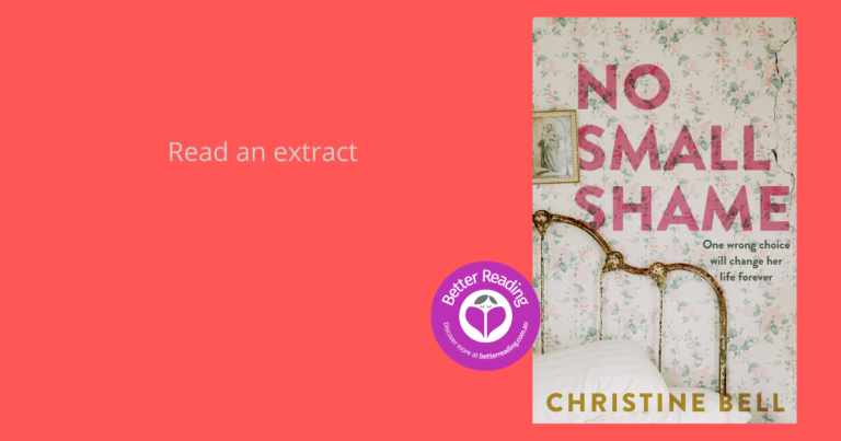 Christine Bell’s, No Small Shame is impossible to put down. See For Yourself…