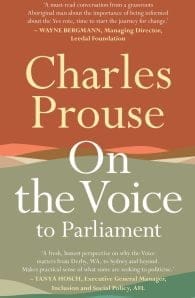 On the Voice to Parliament