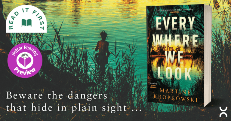 Your Preview Verdict: Everywhere We Look by Martine Kropkowski